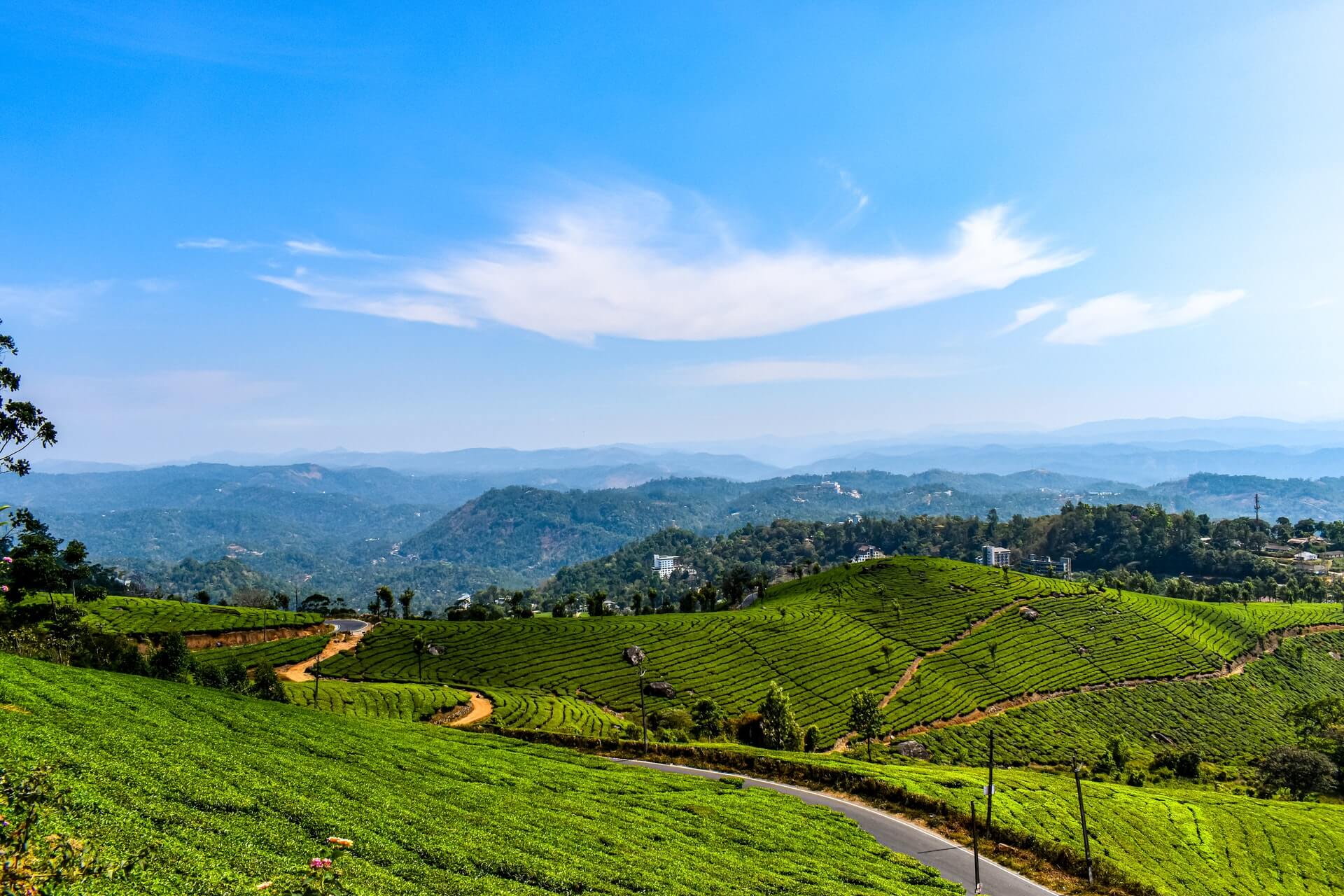 All Inclusive Mumbai to Munnar Tour Packages with Price & Itinerary from Kerala Tourism  (Image credit: sd4ssm@unsplash)